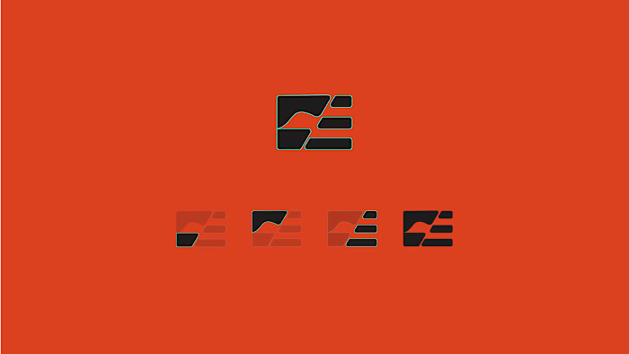 FE LOGO COMPANY