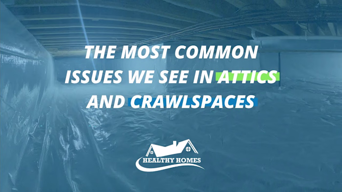 The Most Common Issues We See in Attics and Crawlspaces