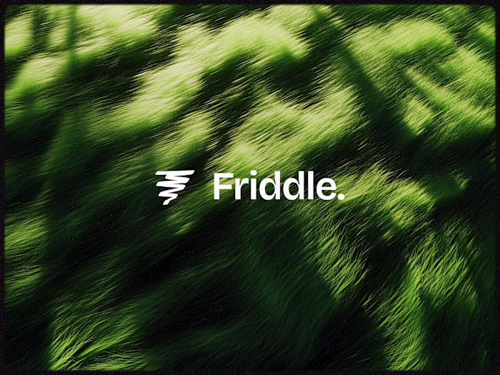 Friddle Logo Design.