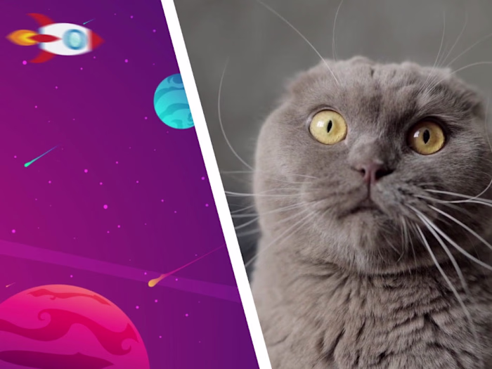 A comprehensive Motion Design &