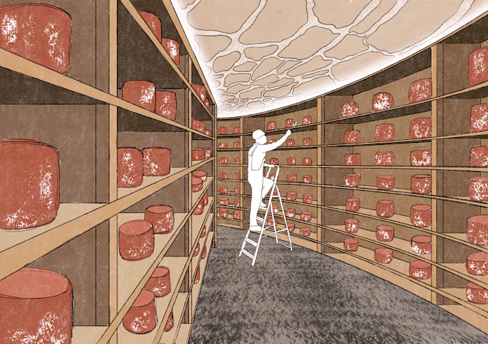 BA final architectural project - 2023
