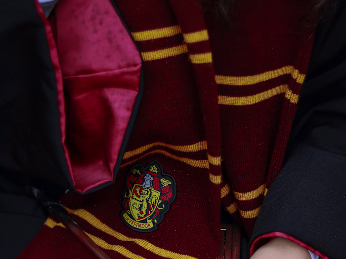 10 Harry Potter Theories: Canon or Fanon?