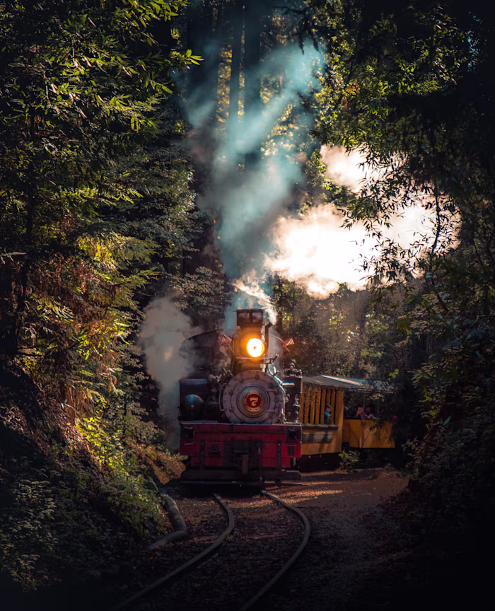 Romance: Two Strangers Meet on a Train During a Cross-Country J…