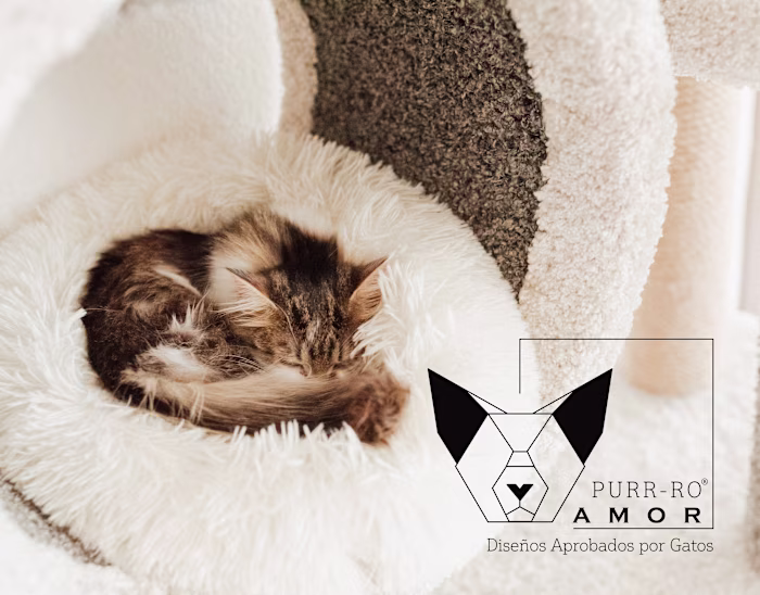 Purr-ro Amor