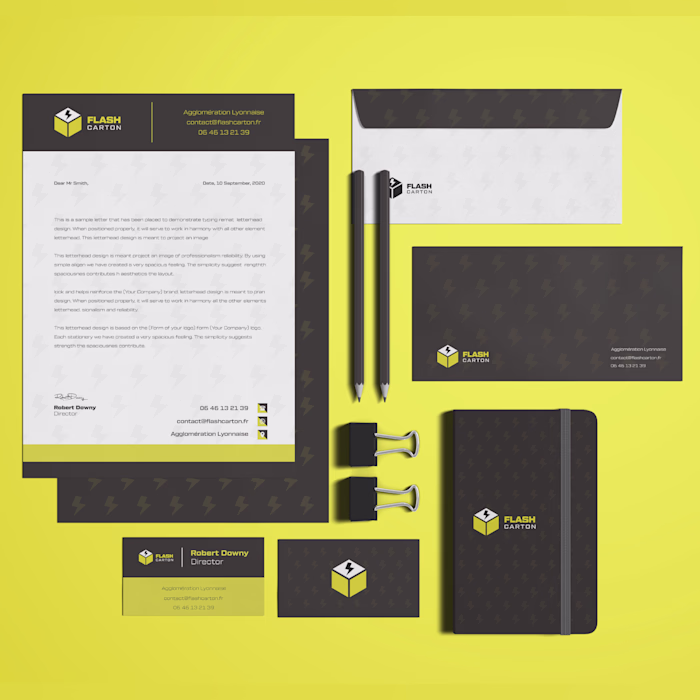 Logo Design & Full Branding Design for Flash Carton