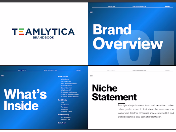 Teamlytical Brand Guidelines Development
