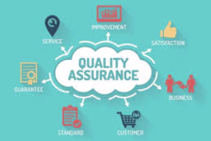 Software Quality Assurance