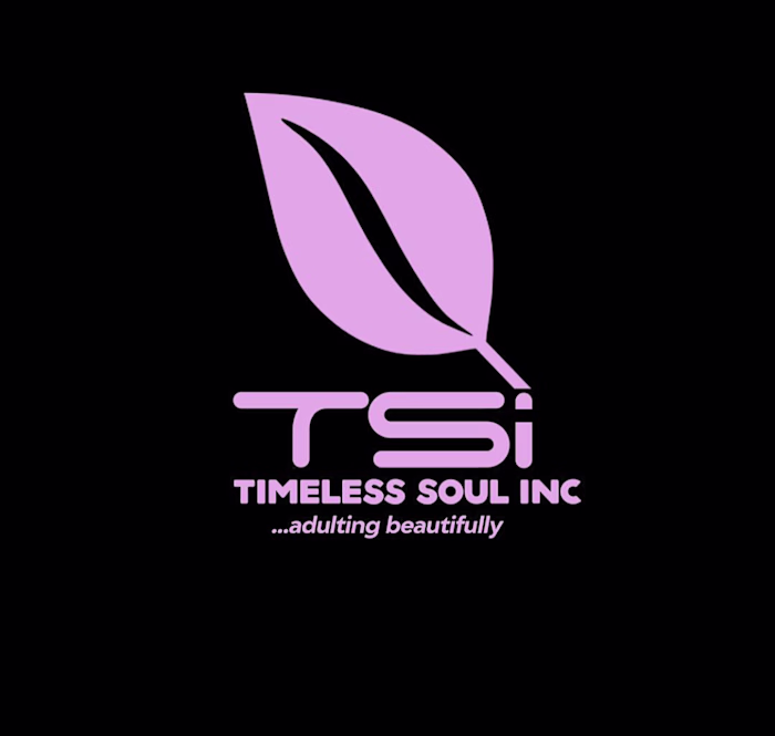Brand Identity Design for Timeless Soul Incorporation