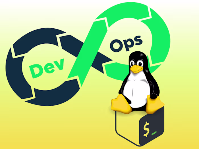 DevOps Fetch Application