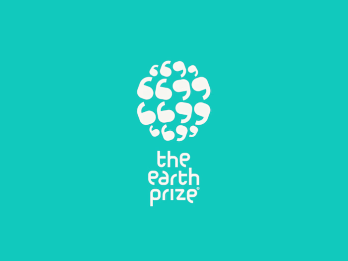 Implementing Solutions for Global Environmental Competition