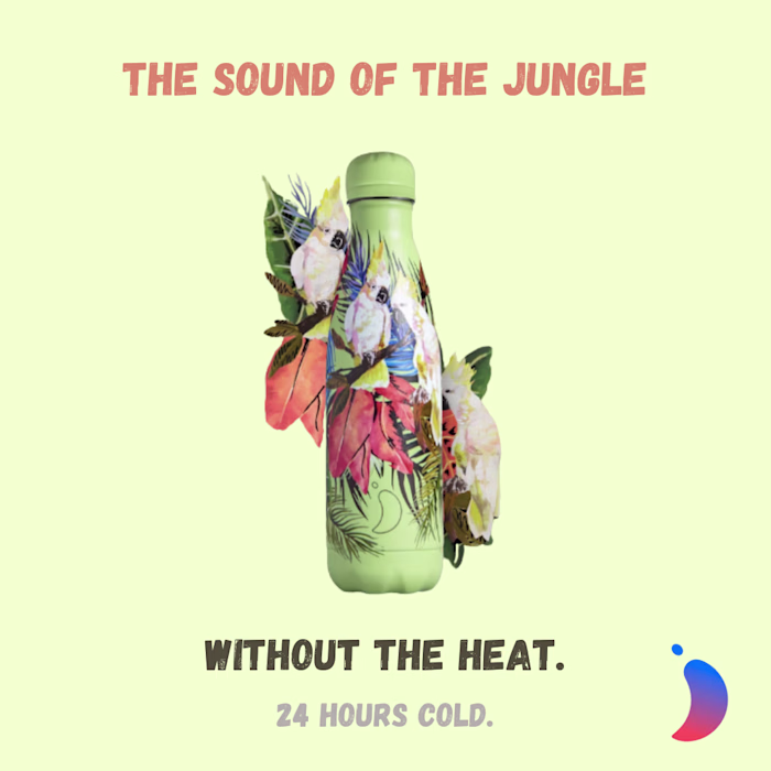 Spec Work: Chilly's Bottles Ad