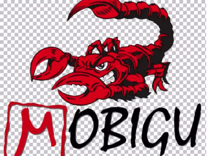 Mobigu