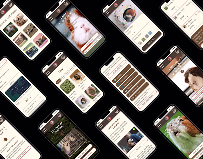 Los Angeles Guinea Pig Rescue Website Redesign on Behance
