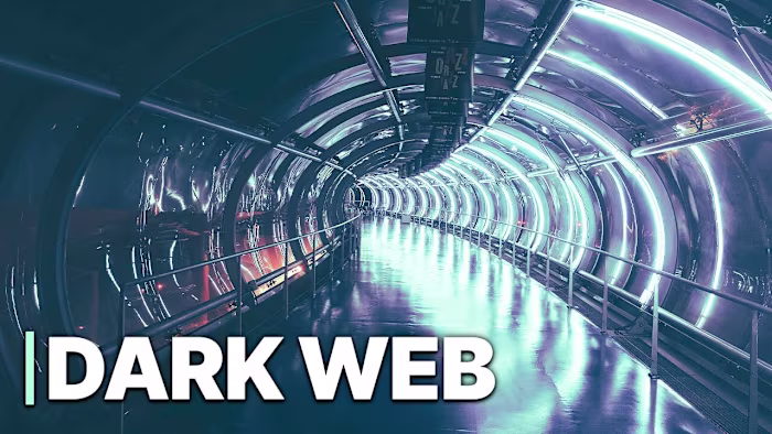 The Dark Web | Black Market Trade | Illegal Activities | Docume…