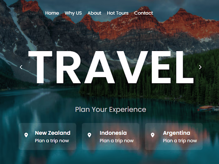Travel Website