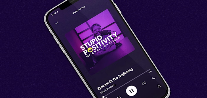 Stupid Positivity | Spotify Cover & Logo