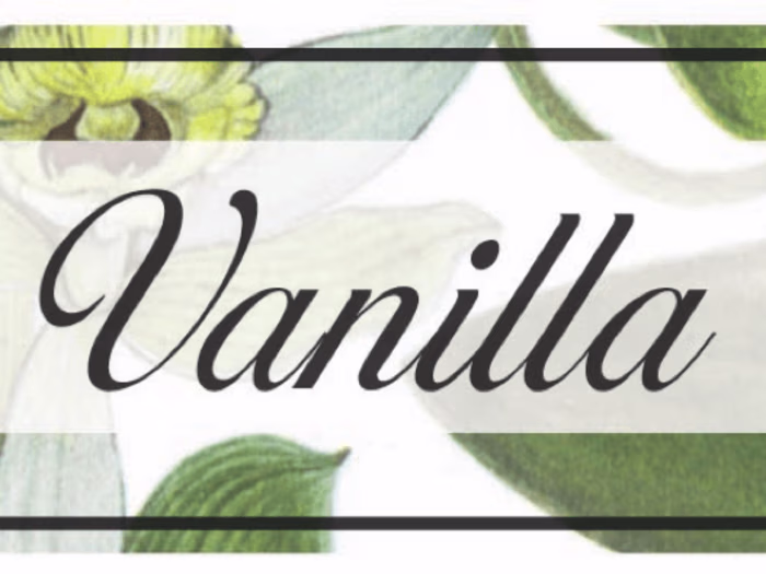 Squarespace Redesign Project: The Vanilla Pod Website
