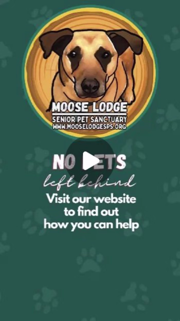 Moose Lodge Senior Pet Sanctuary Reel