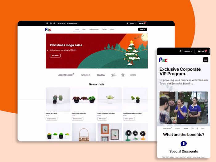 Ecommerce Web Design