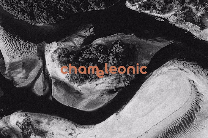 Chameleonic