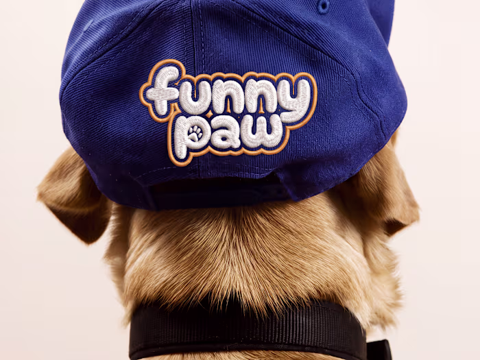 Funny Paw: Product Design & Mobile Development 🐾