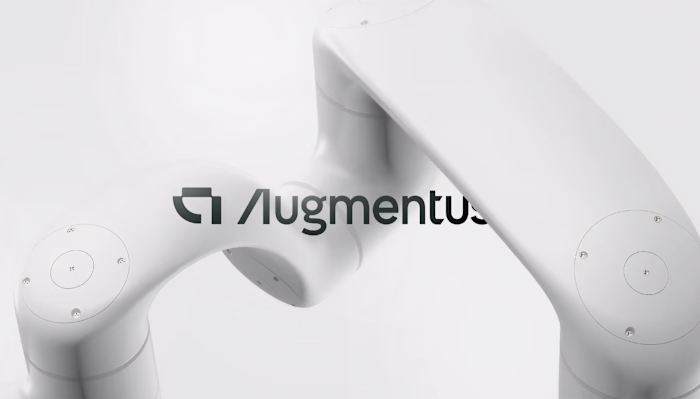 Augmentus Brand Identity Development