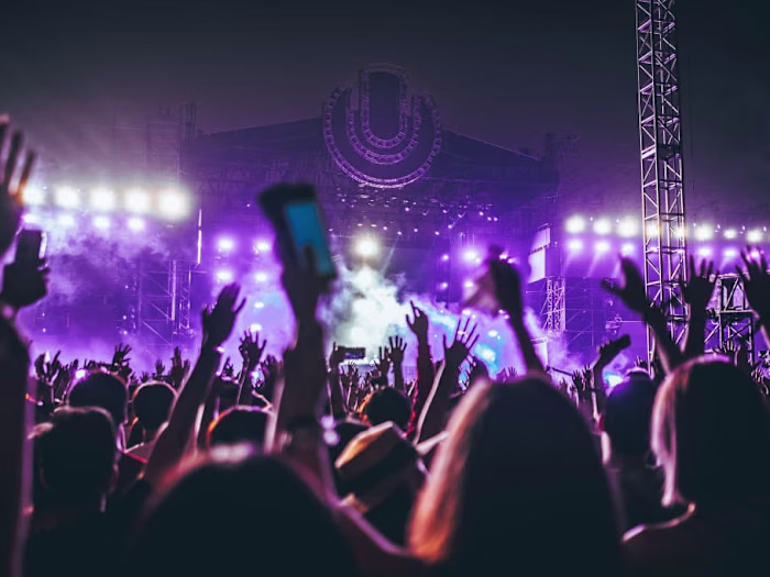 Top 12 Music Artists