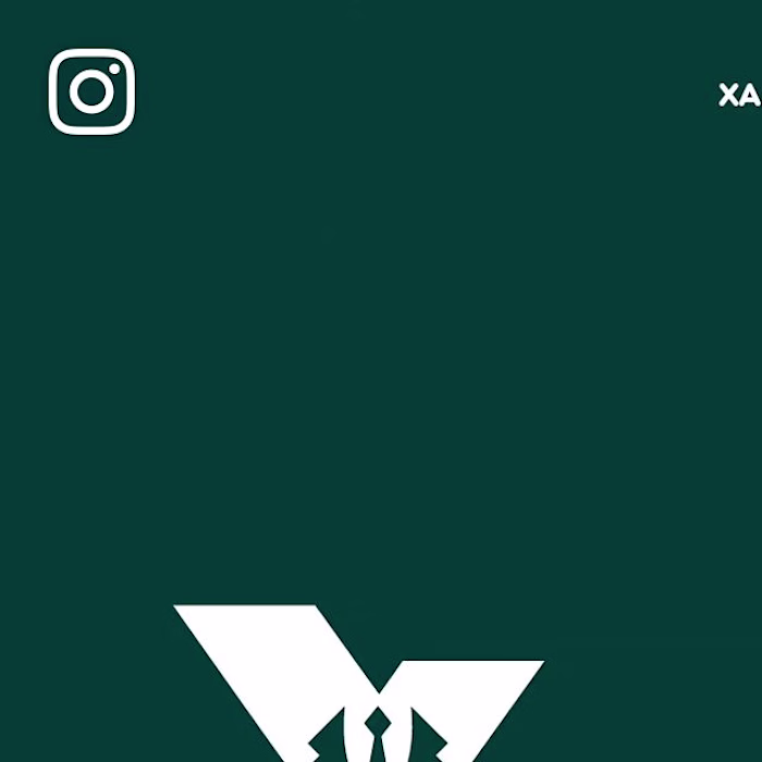 Xander Xavier - Brand Identity