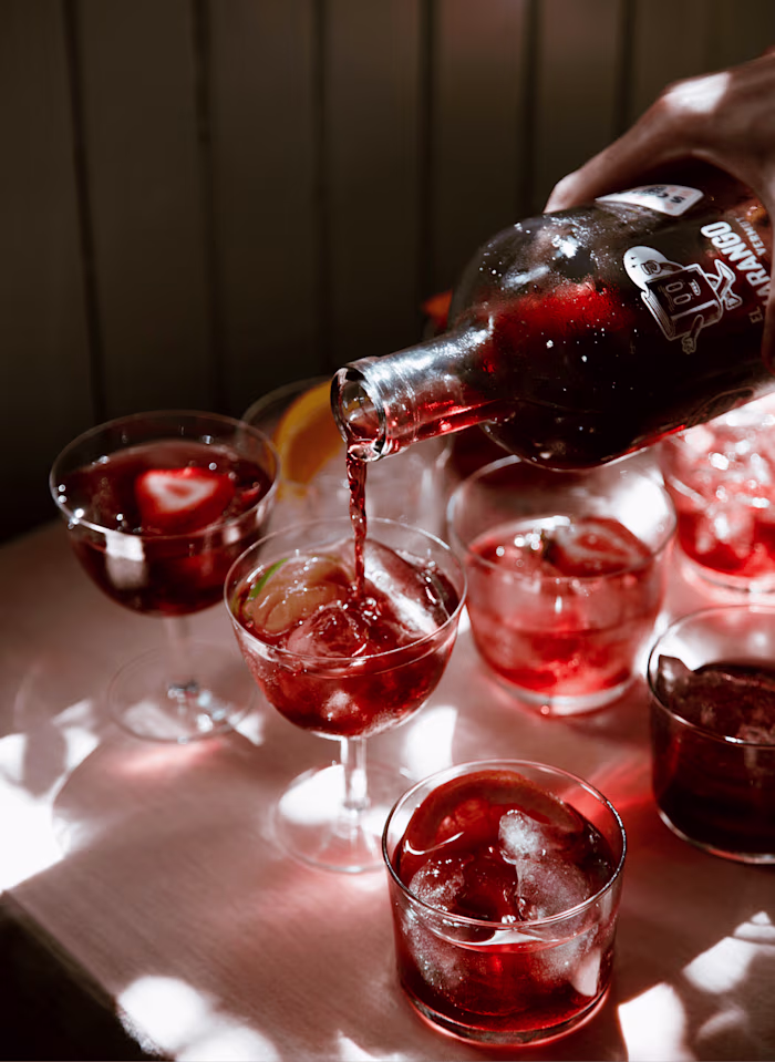 El Guarango Vermut | Branding & Art Direction