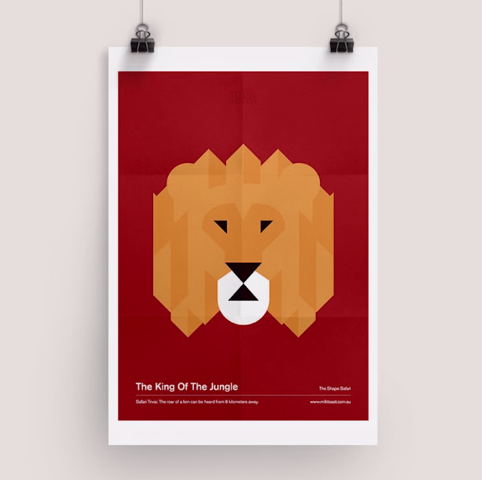The Shape Safari