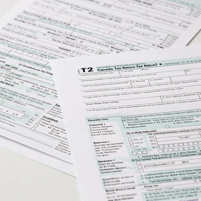  100+ corporate tax returns (T2) for Canadian businesses