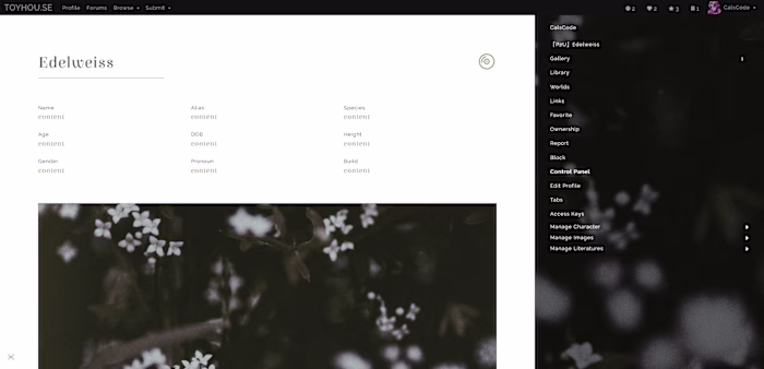 Web Design