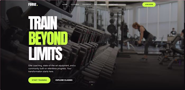 Forge Gym / High-Impact Fitness