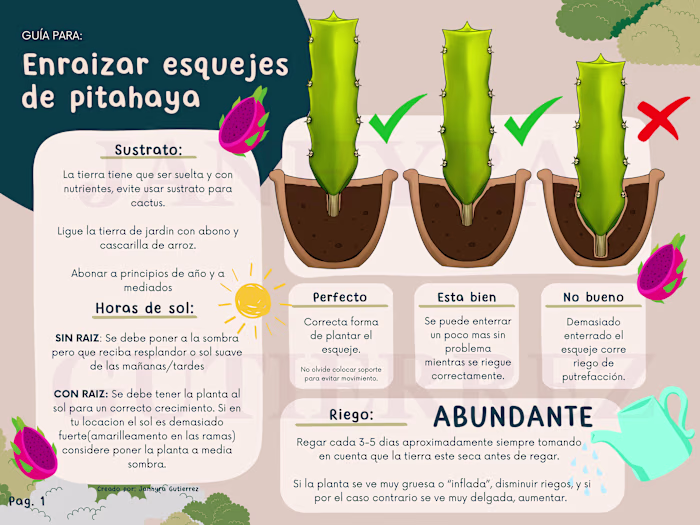 Infographics