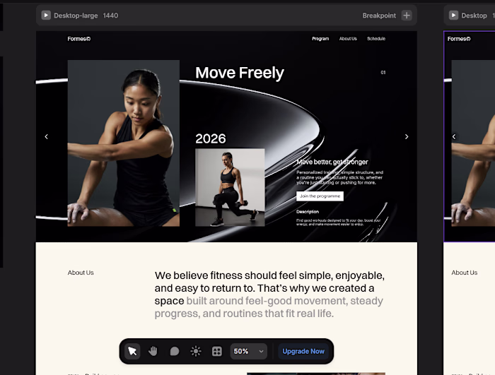 Formes Fitness Landing Page Development