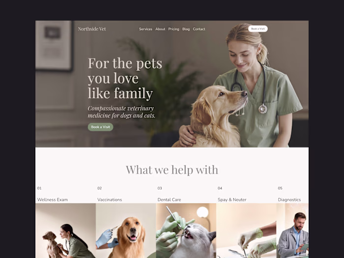 Veterinary Clinic Framer Template