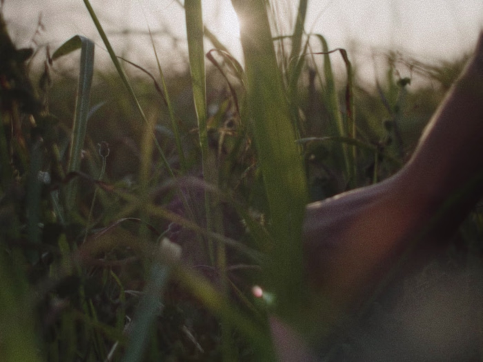 A new visual essay that