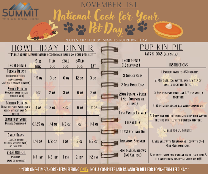 Designed a holiday pet recipe