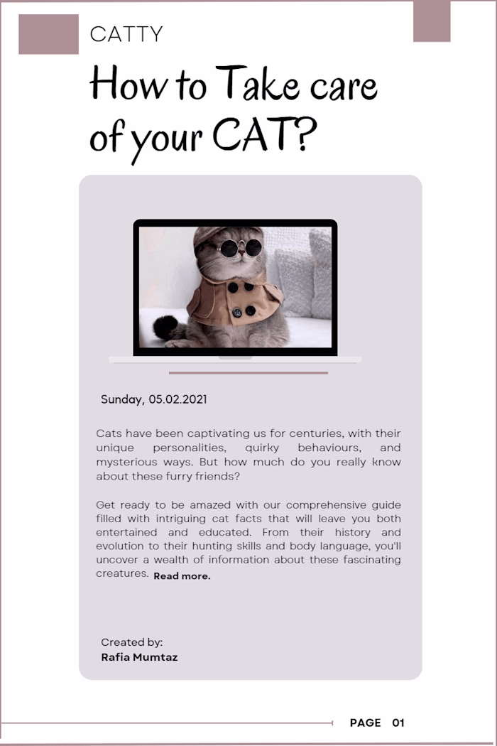 Blog post about cat