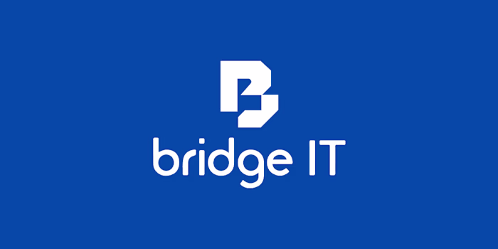 Bridge IT Logo and Brand Identity Refinement