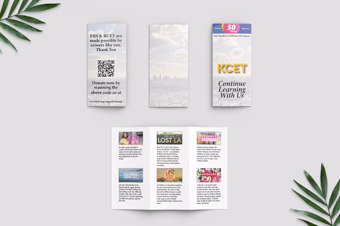 Brochure Examples
