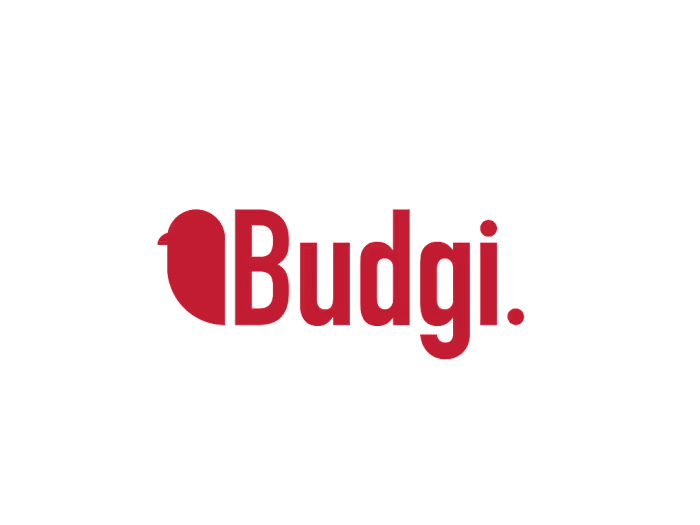 Modern Logo Design for Budgi Inc.