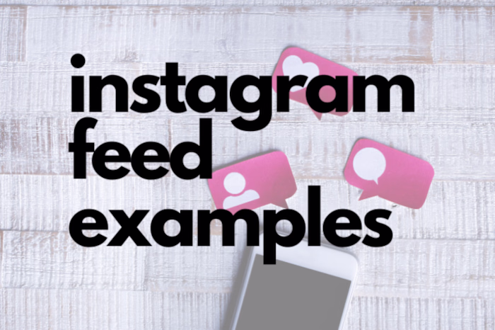 Instagram Feed Examples