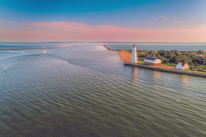 Harbor Psychiatry