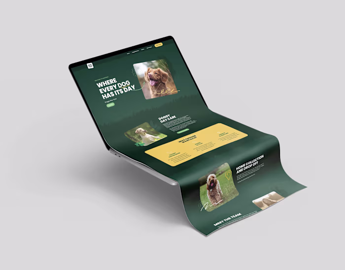  Wagtail - Wordpress