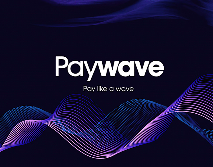 Paywave | Brand design