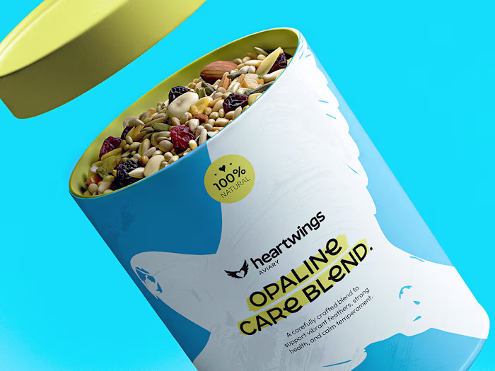 Heartwings | Brand Design