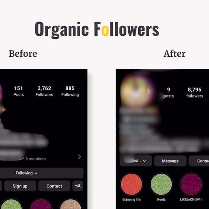 Organic follower generation project