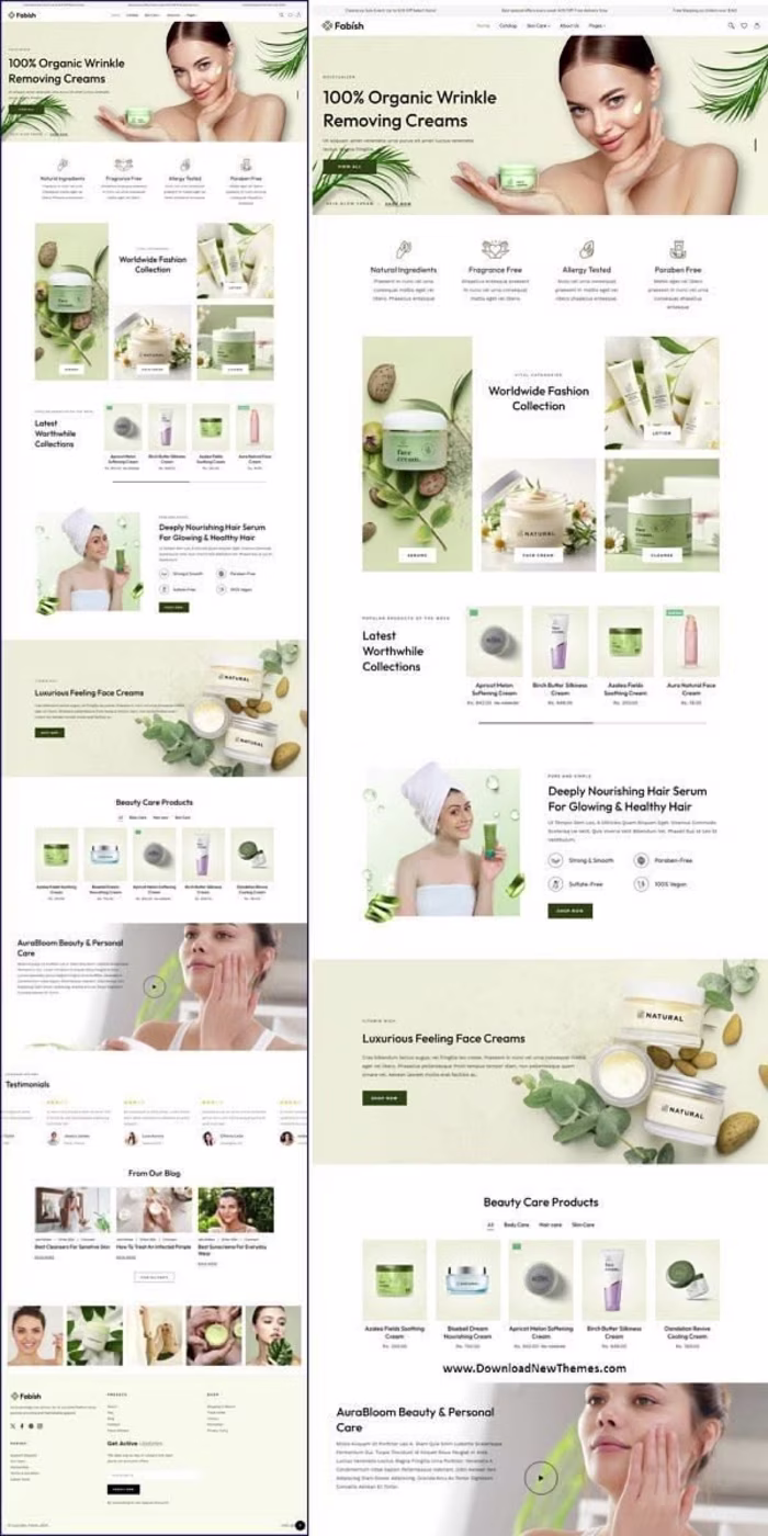 Website Development