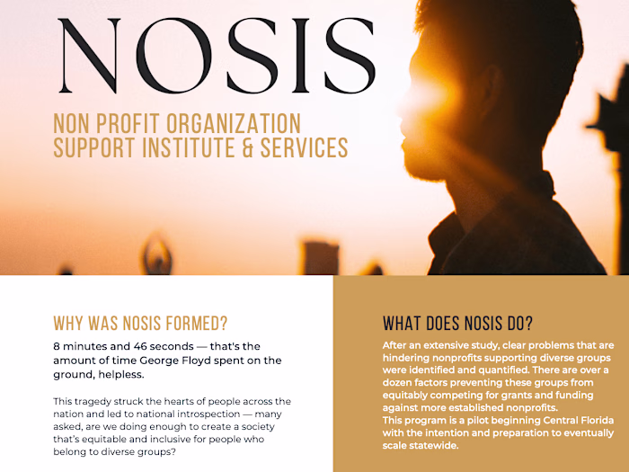 Nonprofit Flyer For NOSIS